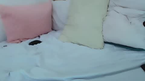 Sasha online show from 2, 3, 2025