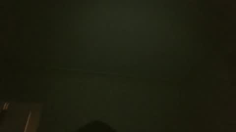 bluemoose70 online show from 29, 3, 2026