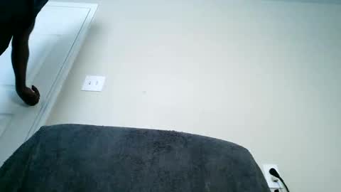 bobbiebone and company online show from 11, 3, 2025