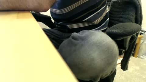 Snapshot of bobbuild chatting on 30, 3, 2026 bobbuild online show from 30, 3, 2026