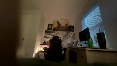 Snapshot of bobbyjones88034 chatting on 27, 3, 2026 Luv bug online show from 27, 3, 2026