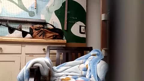 Snapshot of bobmarleybd1420 chatting on 11, 4, 2026 bobmarleybd1420 online show from 11, 4, 2026