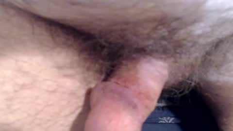 Snapshot of bobswan chatting on 8, 3, 2026 bobswan online show from 8, 3, 2026