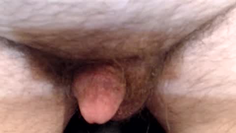 Snapshot of bobswan chatting on 13, 4, 2026 bobswan online show from 13, 4, 2026