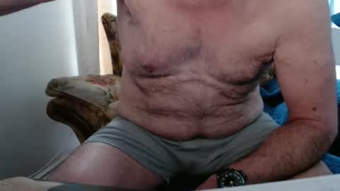 bolbil1 online show from 2, 3, 2026