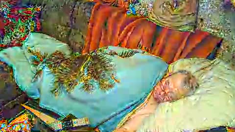 Snapshot of bomber59potsdam chatting on 1, 3, 2025 Bomber59potsdam online show from 1, 3, 2025