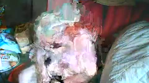 Snapshot of bomber59potsdam chatting on 2, 3, 2025 Bomber59potsdam online show from 2, 3, 2025