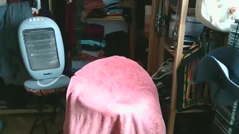 Snapshot of bombero5656 chatting on 15, 12, 2025 Bombero56 online show from 15, 12, 2025