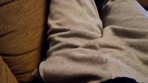 Snapshot of bonny8723 chatting on 22, 12, 2024 bonny8723 online show from 22, 12, 2024