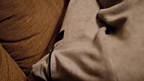 Snapshot of bonny8723 chatting on 5, 2, 2025 bonny8723 online show from 5, 2, 2025