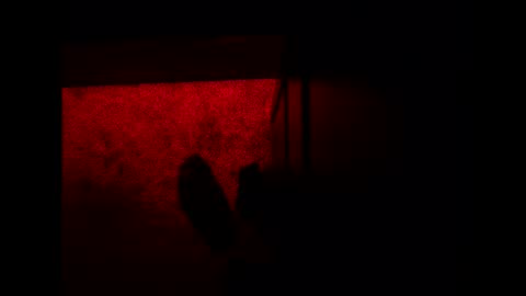 Snapshot of bonny8723 chatting on 3, 11, 2025 bonny8723 online show from 3, 11, 2025