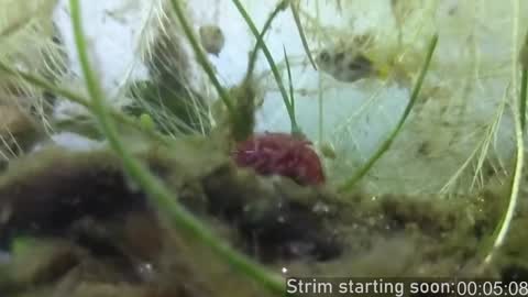 Booker Baxton online show from 29, 12, 2024