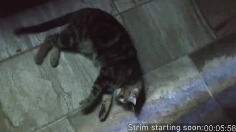 Booker Baxton online show from 15, 2, 2025