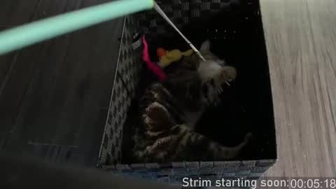 Booker Baxton online show from 4, 10, 2025