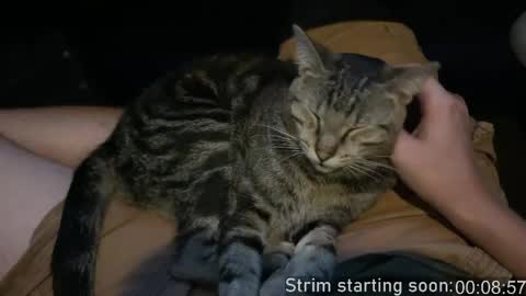 Booker Baxton online show from 14, 4, 2026