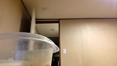 Snapshot of boonejim98 chatting on 15, 11, 2025 boonejim98 online show from 15, 11, 2025