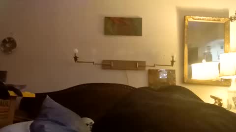 boredaf6678 online show from 16, 12, 2025