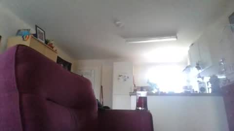 boredlul online show from 1, 3, 2026