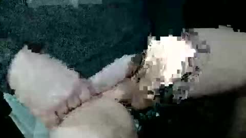 bossram160 online show from 14, 12, 2025