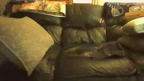 bostonguy1969 online show from 15, 1, 2025