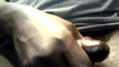 Snapshot of botofogo chatting on 12, 10, 2025 botofogo online show from 12, 10, 2025