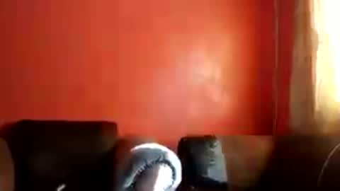 botsougaba online show from 27, 7, 2026