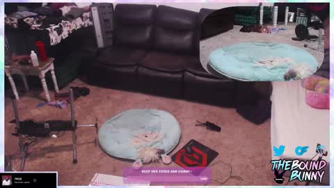 Snapshot of boundbunny98 chatting on 7, 3, 2026 TheBoundBunny online show from 7, 3, 2026