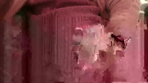 Snapshot of bowieboy91 chatting on 4, 11, 2025 bowieboy online show from 4, 11, 2025