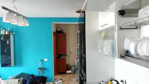 Dan online show from 13, 9, 2025