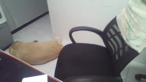 Snapshot of boy_fitbrutal chatting on 2, 12, 2025 boy_fitbrutal online show from 2, 12, 2025