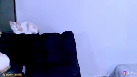 Snapshot of boylatin_777 chatting on 24, 11, 2025 miguel online show from 24, 11, 2025