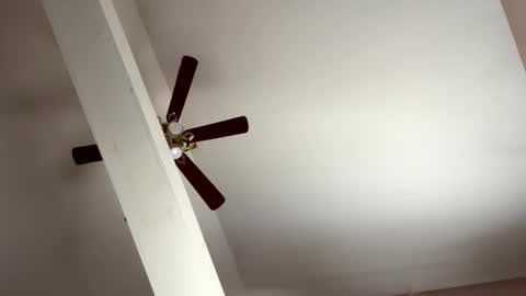 boysetsfire34 online show from 8, 11, 2025