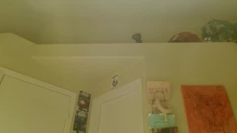 Snapshot of braindeadbetty chatting on 17, 4, 2026 i am a naughty jedi knight online show from 17, 4, 2026