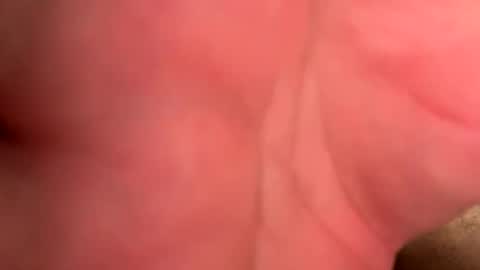 Snapshot of brandenluvslatinas chatting on 15, 4, 2026 Branden online show from 15, 4, 2026