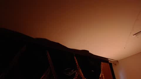 Brandy online show from 20, 2, 2025