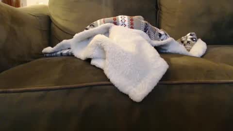 brandondot online show from 31, 12, 2024