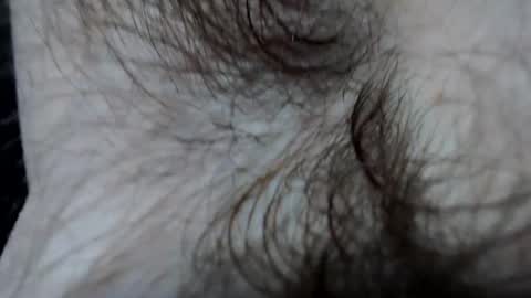 branflakes_ online show from 21, 2, 2025