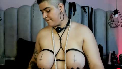 BravenRaven  online show from 14, 5, 2026