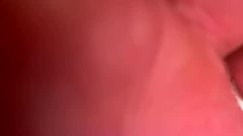 Snapshot of bravo323 chatting on 24, 2, 2025 bravo323 online show from 24, 2, 2025