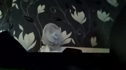 PB9944 online show from 14, 9, 2025