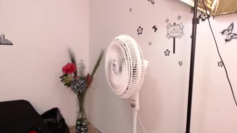 Snapshot of brenda_maz chatting on 29, 1, 2025 Brenda online show from 29, 1, 2025