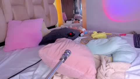 Branda online show from 23, 2, 2025