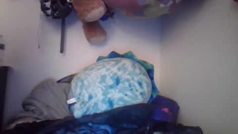 Snapshot of brenttbabe chatting on 11, 2, 2025 MeganDLoves online show from 11, 2, 2025