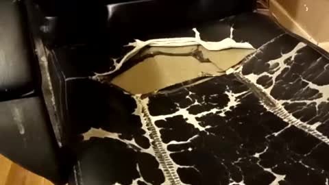 BB online show from 14, 12, 2025