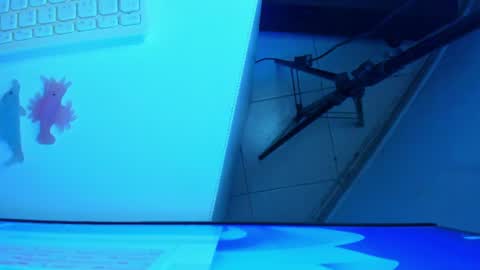 Snapshot of britanny_jones1 chatting on 12, 7, 2026 B R I T A N N Y online show from 12, 7, 2026