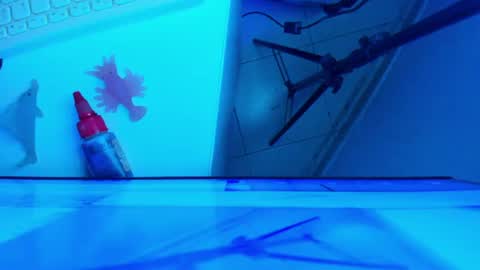 Snapshot of britanny_jones1 chatting on 16, 7, 2026 B R I T A N N Y online show from 16, 7, 2026