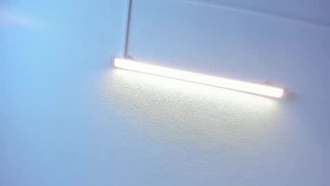 Brittany  online show from 16, 1, 2026