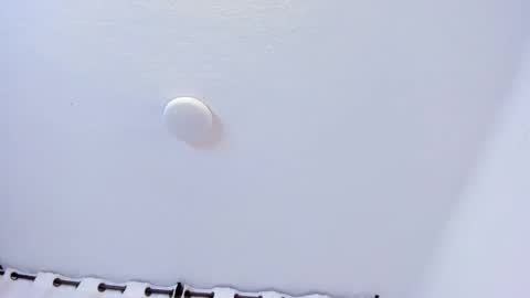 Brittany  online show from 21, 2, 2026