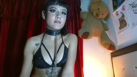 maru miaw   Please help me to reach 100 thumbs up online show from 3, 2, 2025