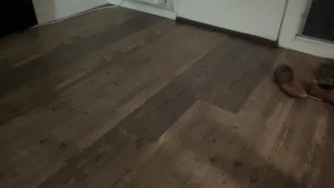 Snapshot of brokehungcollegeguy chatting on 13, 2, 2026 Broke Hung College Guy online show from 13, 2, 2026